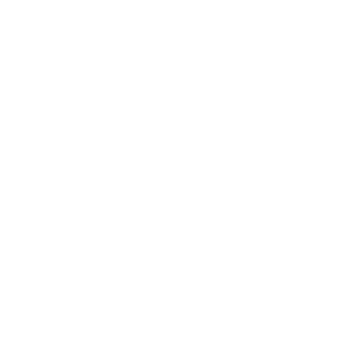 DAS
